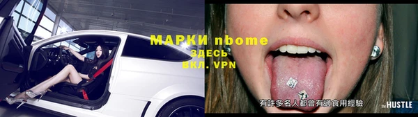 шишки Надым