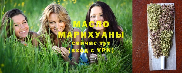шишки Надым