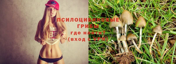 амф Балабаново