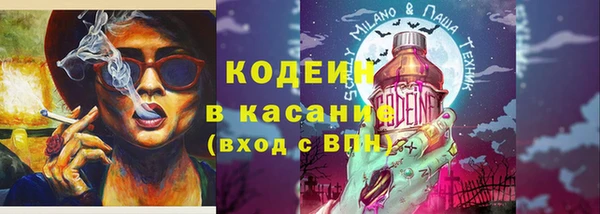 шишки Надым