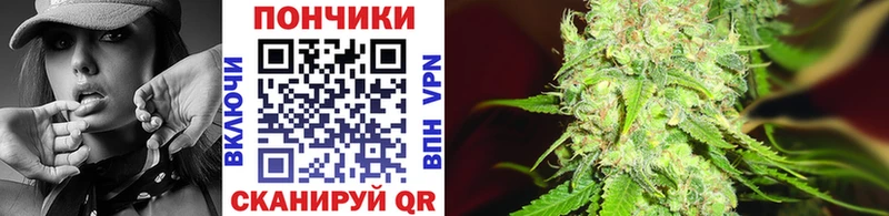 Бошки Шишки сатива  blacksprut ТОР  Буйнакск 